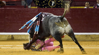 Five Months After Horrific Goring, Matador Tries A Comeback